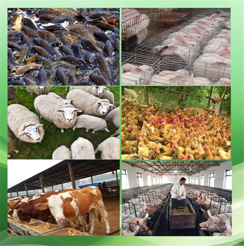 Pellet Mill Multi-function Feed Food Pellet Making Machine Household Animal Feed Granulator 4kw 220V/ 380V 100kg/h-120kg/h - Image 5