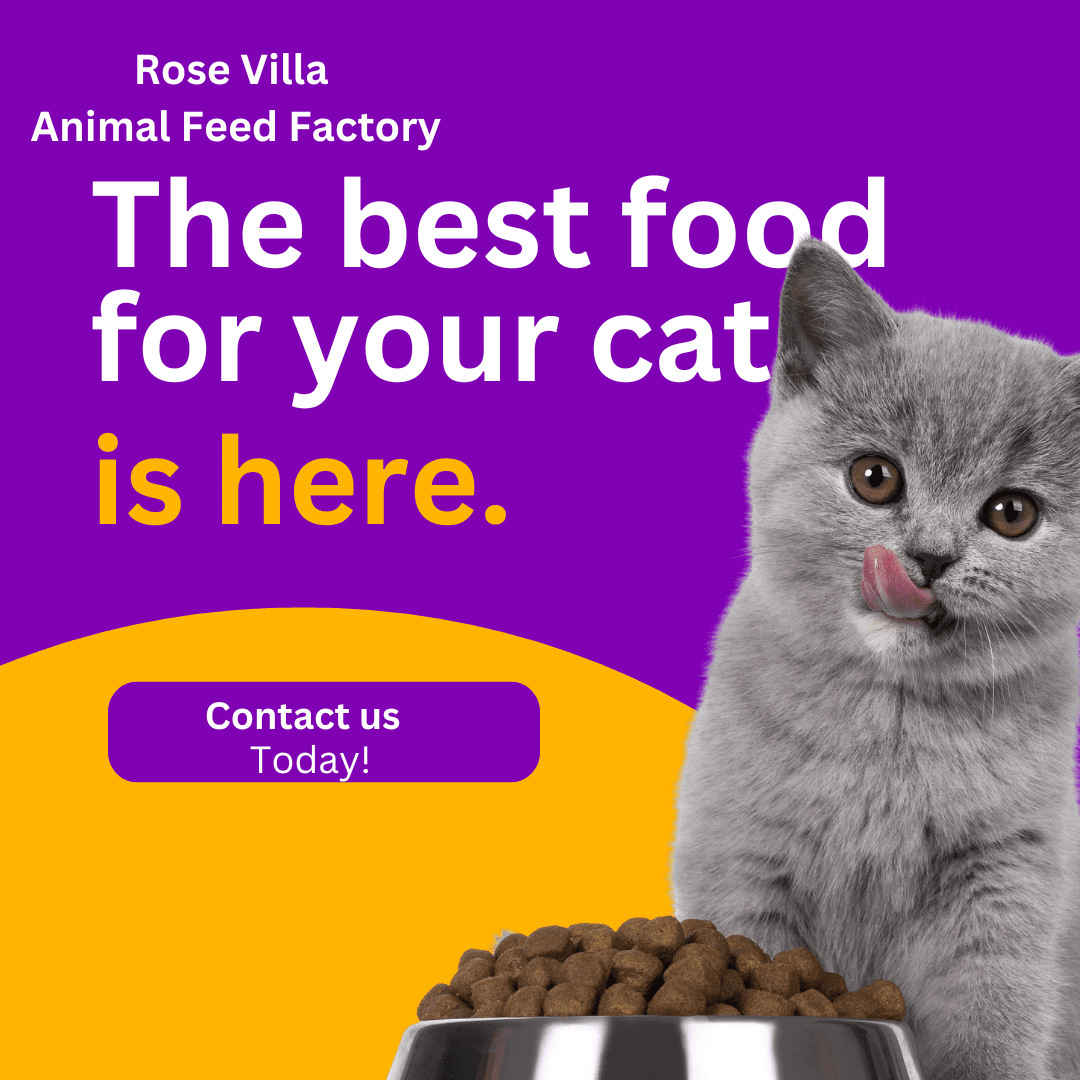 Tropical Cat Food Delight in Jamaica Cat Food Ingredients